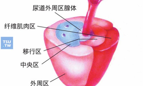 蜂乳胶囊的副作用和危害-蜂乳胶囊的副作用网-分享蜂乳胶囊多少钱一盒，蜂乳胶囊多少钱一盒知识库